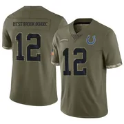Olive Men's Nick Westbrook-Ikhine Indianapolis Colts Limited 2022 Salute To Service Jersey