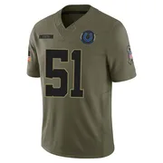 Olive Youth Akeem Davis-Gaither Indianapolis Colts Limited Sr. 2025 Salute to Service Jersey
