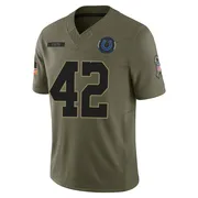 Olive Youth Anderson Castle Indianapolis Colts Limited Sr. 2025 Salute to Service Jersey
